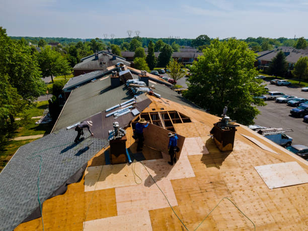Best Flat Roof Repair Services  in Worthington, MN