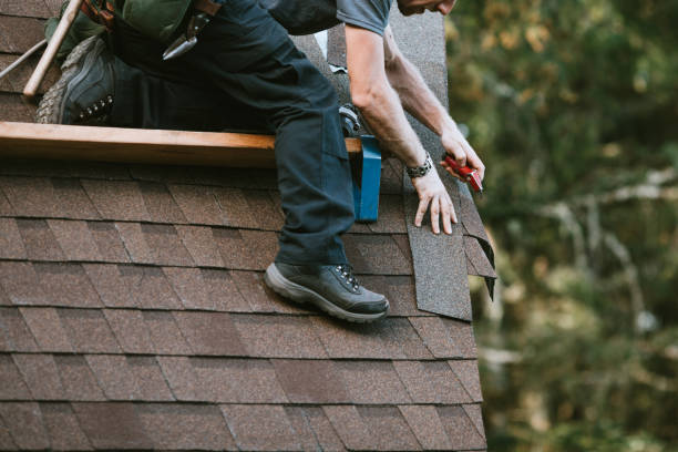 Best Roof Gutter Cleaning  in Worthington, MN